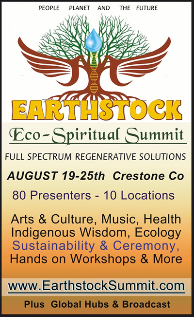 Earthstock Summit promo